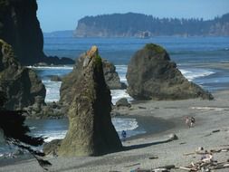 rocky Pacific coast in Olympic National Park, Washington