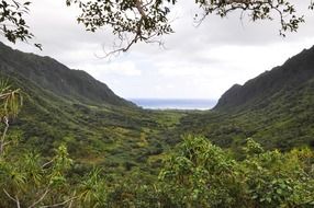 Green mountains in Hawaii