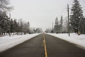 Road and a forest in winter