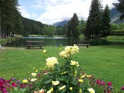 flower bed in a park in France