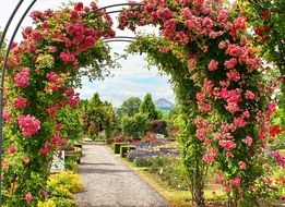 flower arches in the park