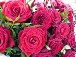 a bouquet of red roses close