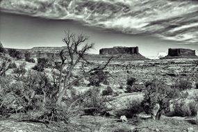 dramatic terrible desert landscape