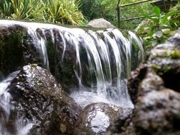 spring of pure water