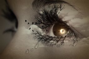 moon and birds in the female eye like a fantasy