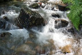 the flow of the river over the rocks