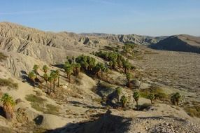 beautiful and delightful coachella valley california