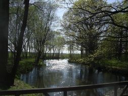 panorama of the river in the park view from the bridge