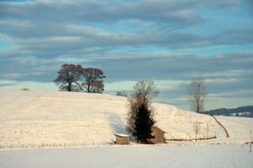bare trees on snowy hill in countryside, germany, bavaria
