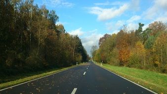 Beautiful road among the colorful trees in autumn