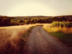 rural fields in the city Marburg