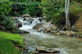 scenic landscape along a mountain stream