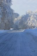 snowy road among teutoburg forest