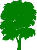 Green tree silhouette drawing on white background