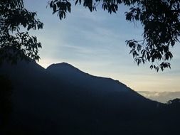 mountain view through tree branches