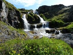 Icelandic nature in summer