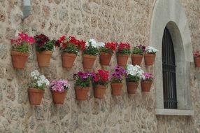 flowers pots on the stone wall