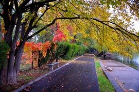 path among the autumn scenic park
