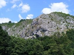 Mountains near tree forest