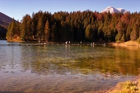 autumn forest on the lake in Austria