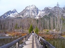 wooden bridge in the grand teton national park