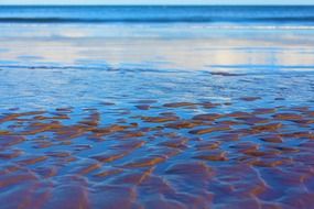 sea coast background