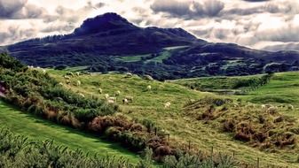 fabulous sheep mountain