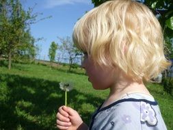 Portrait of blond child with dandelion