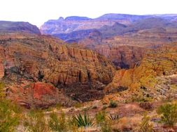 arizona desert landscape