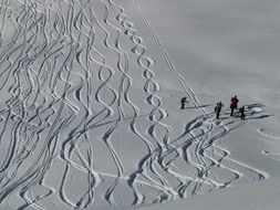 curves traces of skiers on the snow