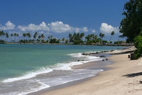 ocean surf on tropical beach