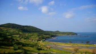 Green beach on an island in the Republic of Korea