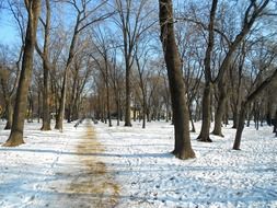 extraordinarily beautiful moldova park
