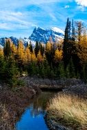 panorama of larch valley in canada