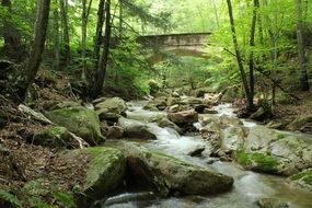 stone bridge over a cold forest stream