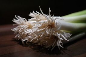 winter onion stalk macro