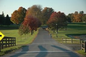 Landscape of greenfield in massachusetts