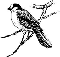 Ä°llustration of bird is on a branch