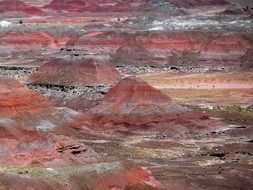 petrified forest AZ