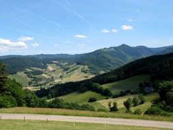 black forest on the high valley