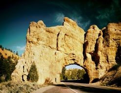 Stone arch above the road among the plants
