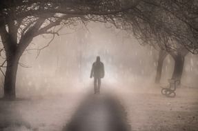 silhouette of a man in the autumn mist