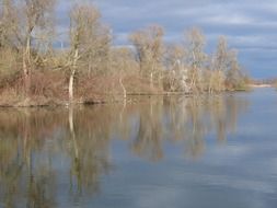 spring flood on rhine river