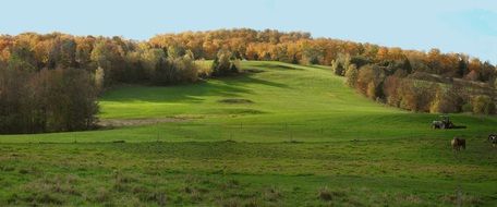 vermont meadow in the fall