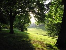 landscape park in devon