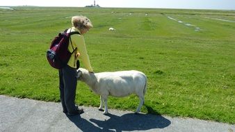 National park in Nordfriesland