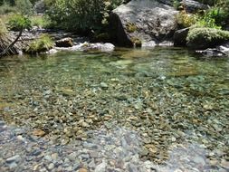 clear water in the Alpine mountains