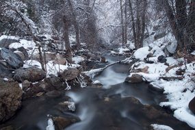 stream in the snow forest