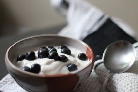 dessert with yogurt and blueberries