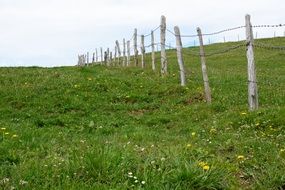 fence on a green pasture